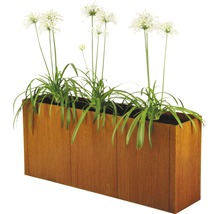 Jardinière rectangulaire en métal avec plantation
