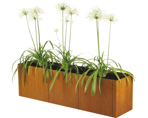 Jardinière surélevée classique bellissa pannello module sans fond 116 x 44 x 50 cm acier Corten