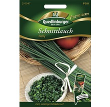 Schnittlauch Nelly Quedlinburger Kräustersamen