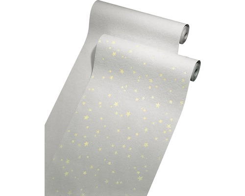 Zwei Rollen Raufasertapete mit Sternenmuster