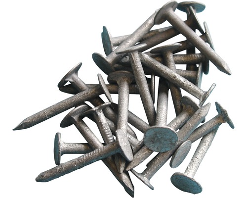 Pointes pour carton bitumé 2,8x16 mm galvanisées à chaud 200 unités Assortiment de clous pour diverses applications