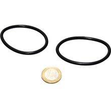Joint torique JBL AQ pour verre de quartz UV-C 18/36 W 2 pièces
