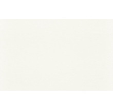 Intissé de rénovation Intissé de peintre 129809 150 g/m² 25 m x 1,00 m
