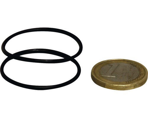 2x O-Ring Abdeckung + Schlauchanschluss JBL u800/1100