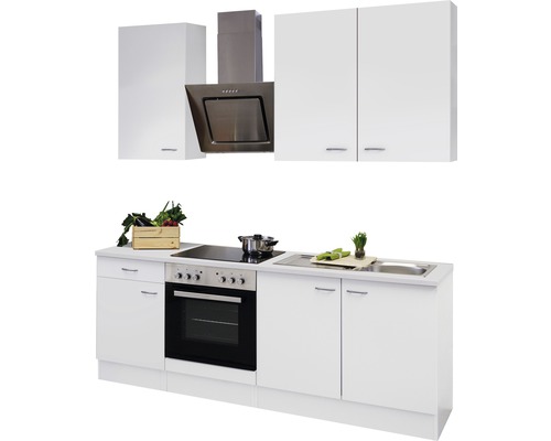 Einbauküche mit Spüle, Kochfeld, Backofen, Dunstabzugshaube und Schränken