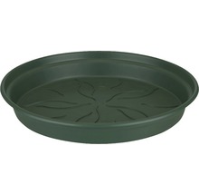 Soucoupe pour plantes en plastique