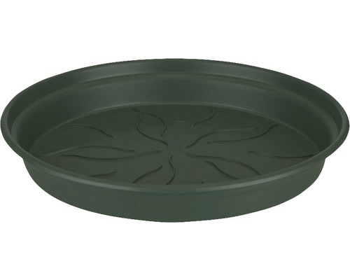 Untersetzer elho Green Basics Kunststoff Ø 41 H 5,5 cm grün Pflanzenuntersetzer aus Kunststoff
