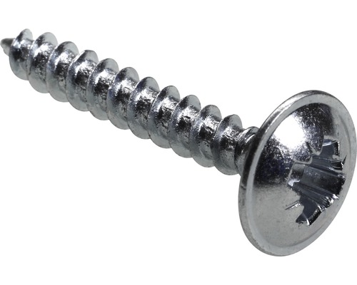 Vis de paroi arrière galvanisée Ø 3x20 mm 50 pièces Vis à métaux à tête bombée