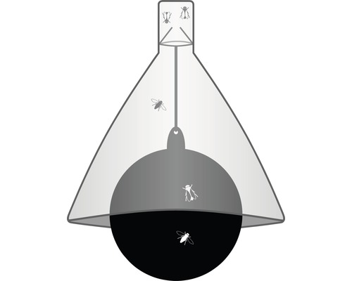 Piège à mouches avec plusieurs mouches