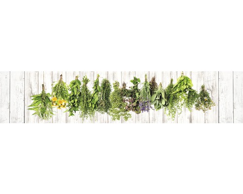 Crédence de cuisine mySpotti Splash Hanging Herbs fines herbes 2800 x 600 mm SP-F2-1260