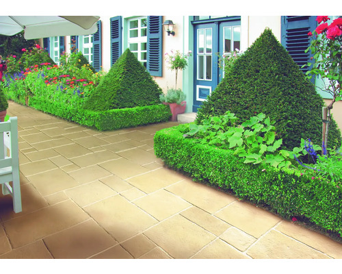 Gartenweg mit Pflastersteinen und geschnittenen Hecken