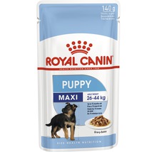 Aliments pour chiots Royal Canin Maxi en sachet de 140 grammes