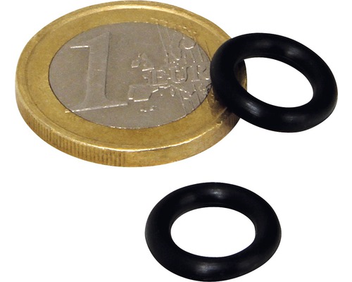 Joint JBL pour réducteur de pression CO2 Vario 500 2 pièces Deux joints d''étanchéité en caoutchouc avec une pièce d''un euro pour comparaison de taille