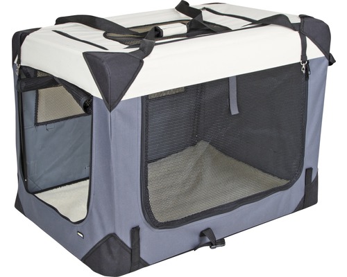 Cage de transport pour animaux de compagnie avec fenêtres en filet et poignées de transport