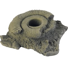 Dekoration VARIOGART Pflanzhilfe 11 Fossilien-thumb-0