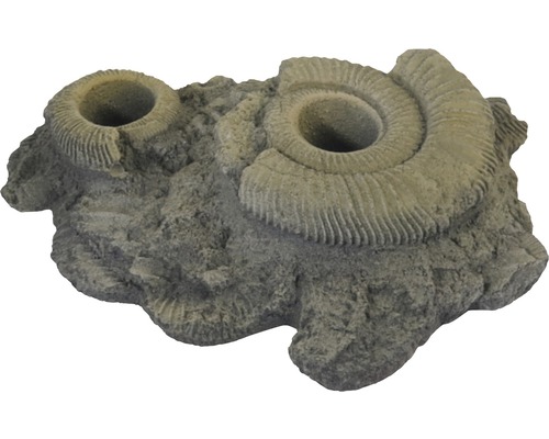 Décoration VARIOGART aide de pousse pour plantes 12 fossiles Objet de décoration avec motif ammonite pour aquariums