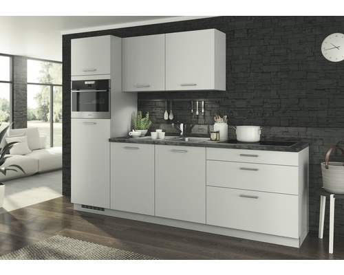 Cuisine moderne avec évier, plaque de cuisson et four encastrable