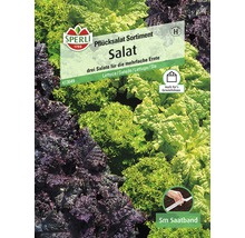 Sperli assortiment de laitues à couper avec ruban de graines pour récoltes multiples
