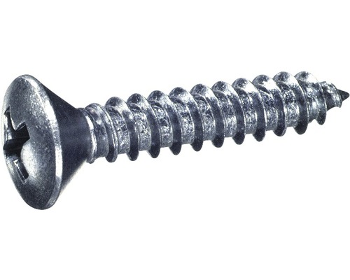 Vis à tôle tête fraisée bombée avec empreinte cruciforme DIN 7983 2,9x13 mm acier inoxydable A2, 100 pièces