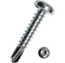 Blechschraube mit Linsenkopf und Bohrspitze