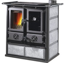 Cuisinière à bois avec plaque de cuisson et four