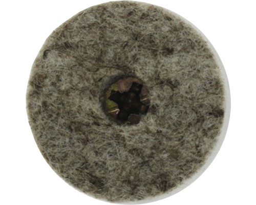 Tarrox Filzgleiter mit Schraube 24 mm rund braun/vernickelt 24 Stück Runder Filzgleiter mit Schraube