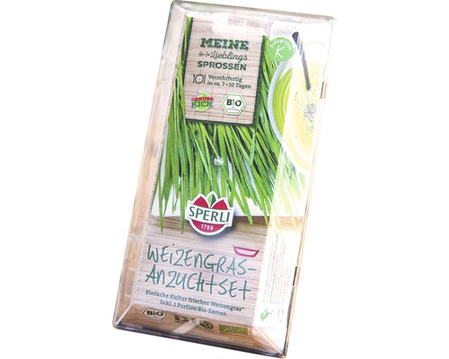 Kit de culture de pousses vertes Sperli herbe de blé