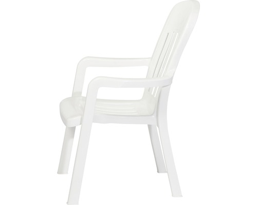 Chaise de jardin en plastique avec accoudoirs