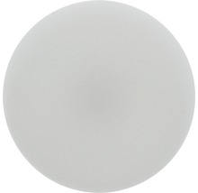 Patin en plastique Tarrox avec clou Ø 20 mm rond blanc 16 pièces-thumb-1