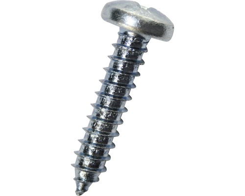 Vis à tôle à tête bombée DIN 7981 3,9 x9,5 mm galv. zinguée, 1000 pièces Vis à métaux à tête bombée