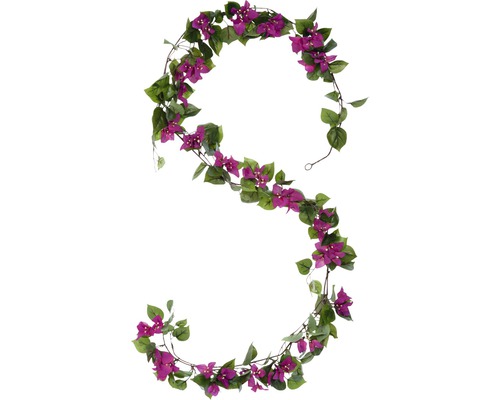 Guirlande Bougainvillea, rose Guirlande Bougainvillea, rose