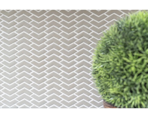 Mur de carreaux avec motif à chevrons et plante
