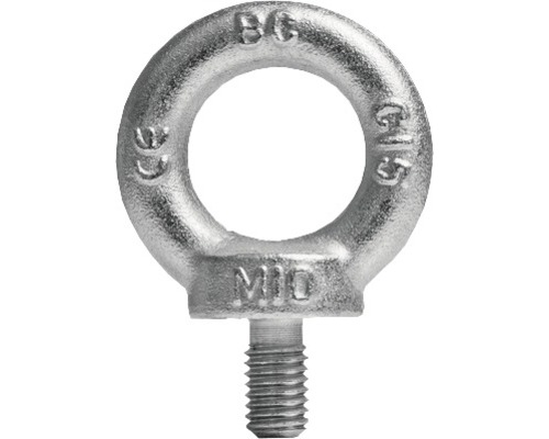 Ringschraube (ähnl. DIN 580) M24 galv. verzinkt, 1 Stück Metall Ringschraube M10