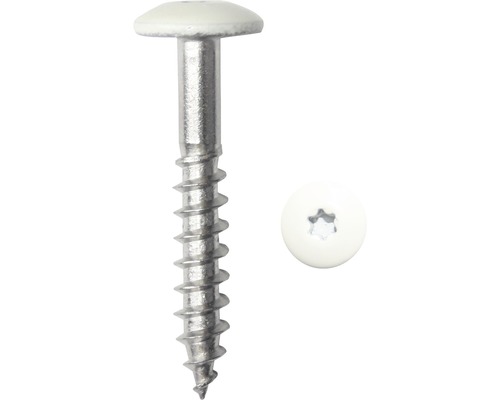 Vis de façade à tête bombée plate av. empreinte étoile 5,5x45 mm acier inoxydable A4 blanc pur, 100 pièces