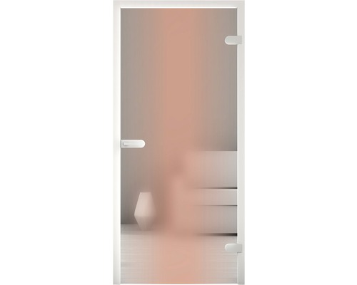 Porte en verre avec ferrures et poignée