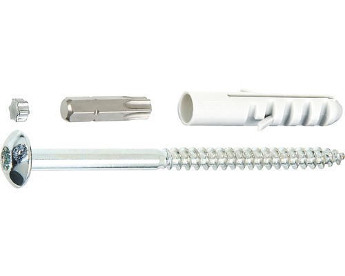 Sicherheitsschraube 7x105 mm für Fenstergitter 4 Stück Schraube mit Dübel und Bitaufsatz