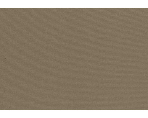 Teppichboden Velours Verona Farbe 38 hellbraun 400 cm breit (Meterware)