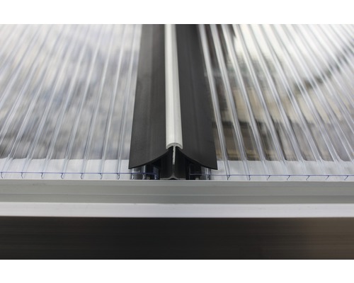 Système de profilés pour raccorder les plaques alvéolaires