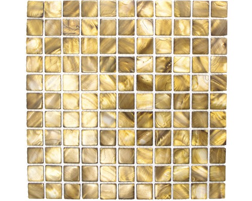 Mosaïque de coquillages SM 2569 MARRON-BEIGE 30x30 cm-0