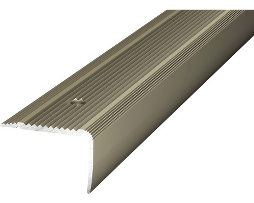 Nez de marche Prinz aluminium acier inoxydable mat perforé 30 x 20 x 2500 mm Nez de marche Prinz aluminium acier inoxydable mat perforé 30 x 20 x 2500 mm