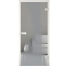 Porte en verre avec poignée et ferrures dans une salle de bains