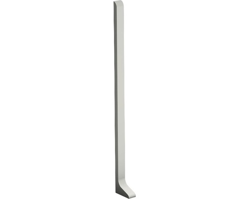 Prinz Endstück links für Alu-Sockelleiste 11x100 mm titan (1 St.)