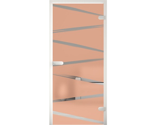 Porte en verre avec cadre et poignée