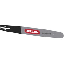 Oregon Führungsschiene für Kettensäge