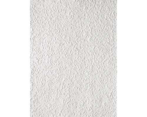 Erfurt Papier-Rauhfaser 1003234 Avantgarde 20x0,53 m Weisse Raufasertapete mit grober Struktur