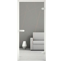 Porte intérieure en verre avec design linéaire dans une pièce aménagée moderne
