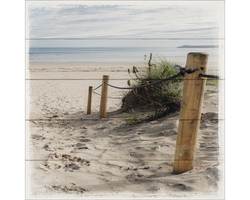 Leinwandbild Sand Dunes I 40x40 cm