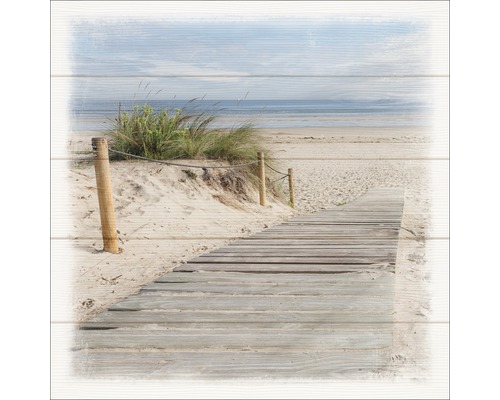 Leinwandbild Sand Dunes II 40x40 cm