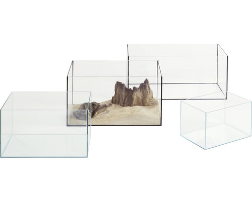 Plusieurs aquariums en verre vides de différentes tailles