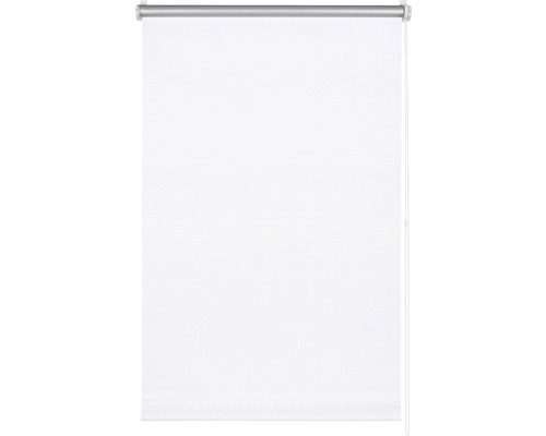 Store occultant Thermo blanc 45x150 cm avec support à clipser